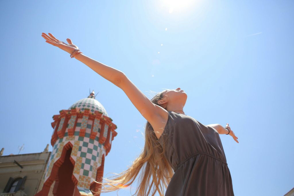 Bonjour, Gaudí