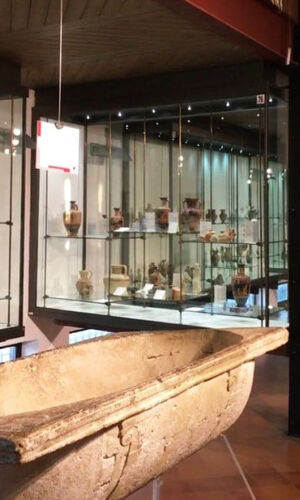 Museo Archeologico Regionale Pietro Griffo: Biglietto d'ingresso
