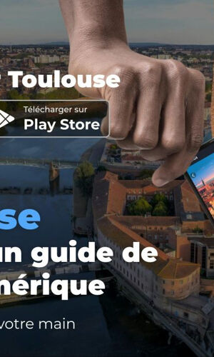 Toulouse : Visite à pied