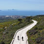 Monte Vesuvio: Biglietto Skip The Line + Tour in bicicletta + Degustazione