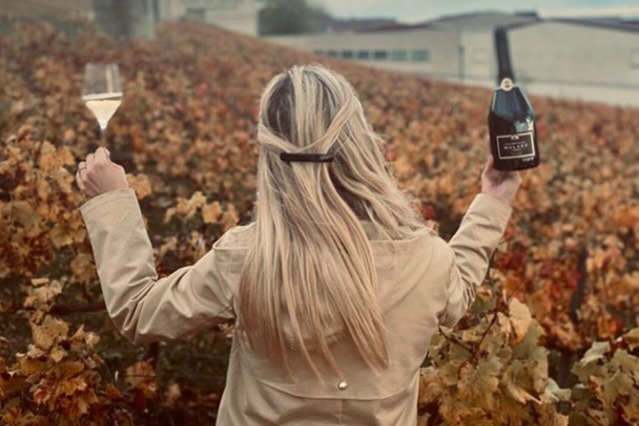 Champagne : Excursion d'une journée au départ de Paris + 7 dégustations + déjeuner