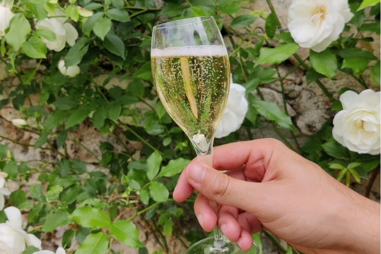 Champagne : Excursion d'une journée au départ de Paris + 7 dégustations + déjeuner