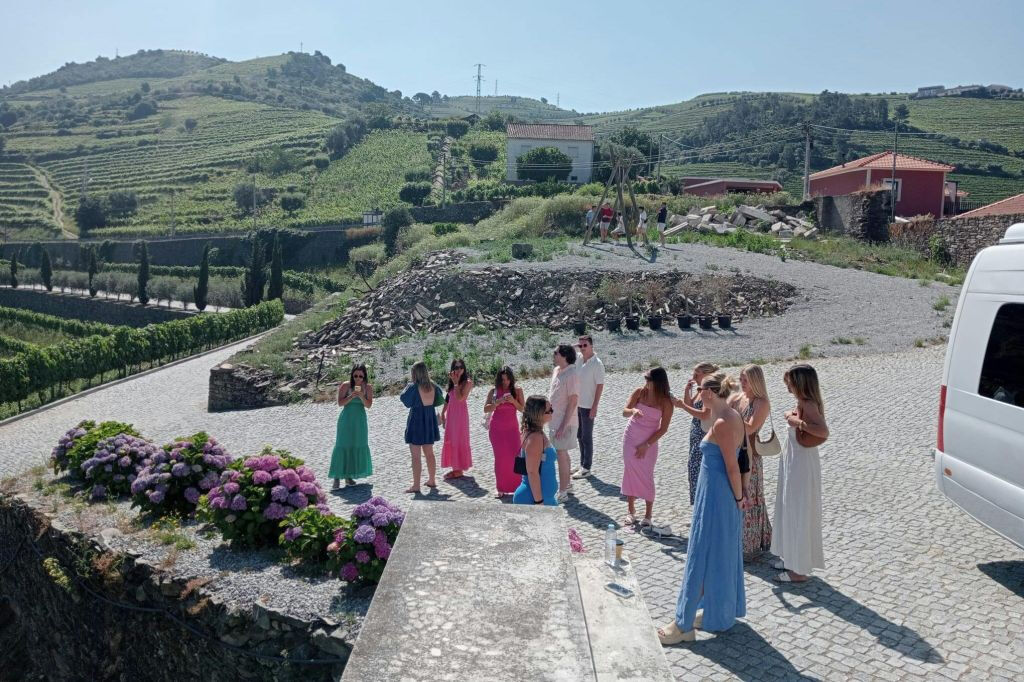 Valle del Douro: Tour guidato del vino da Porto + pranzo