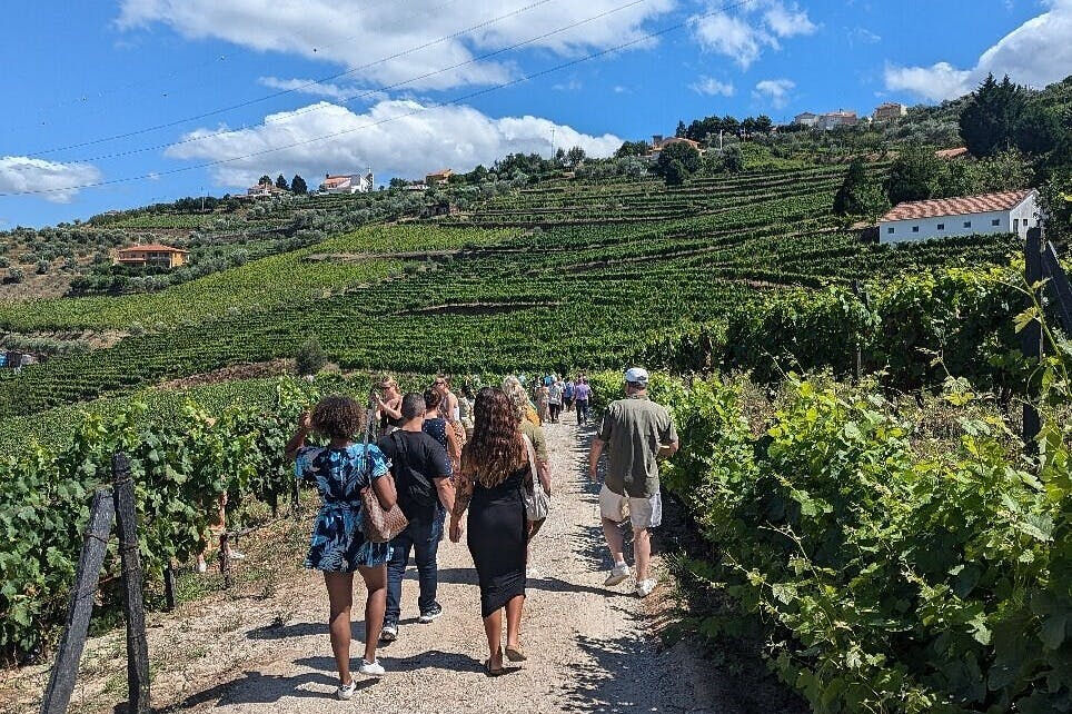 Valle del Douro: Tour guidato del vino da Porto + pranzo