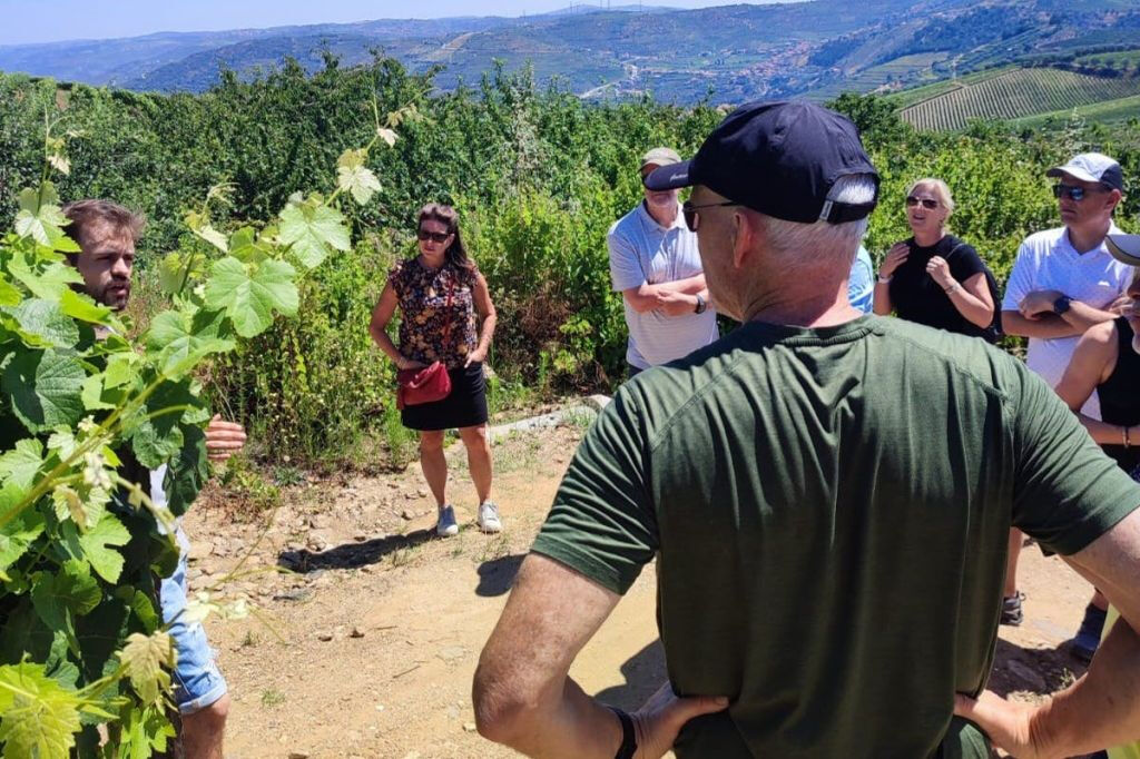 Valle del Douro: Tour guidato del vino da Porto + pranzo