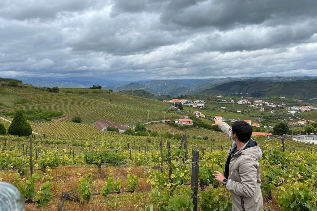Valle del Douro: Tour guidato del vino da Porto + pranzo