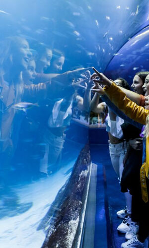 Atlantis Aquarium Madrid