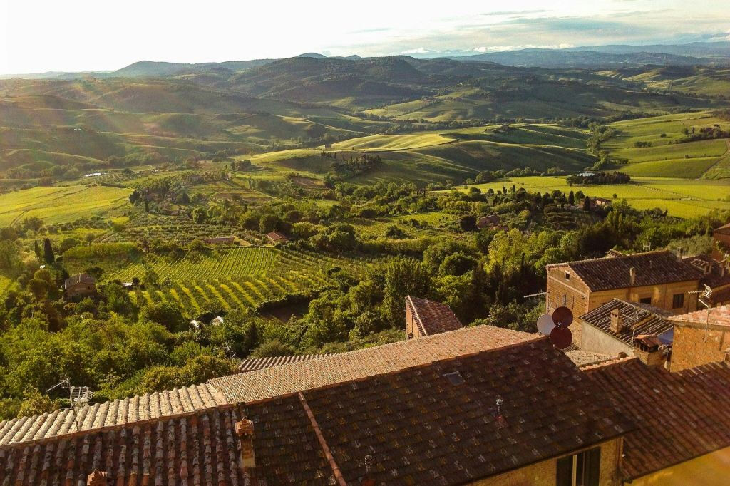 Montepulciano: Vineyard Guided Tour + Wine Tasting
