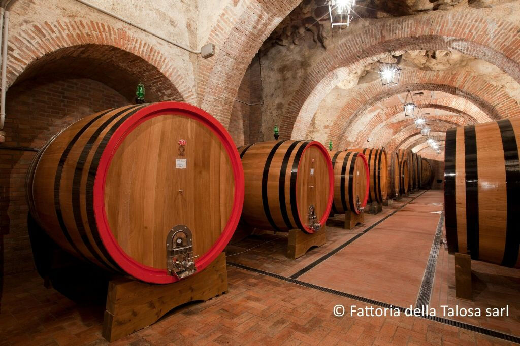 Montepulciano: Visita guiada al viñedo + Cata de vinos