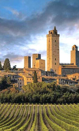 San Gimignano: Tour di degustazione di vini