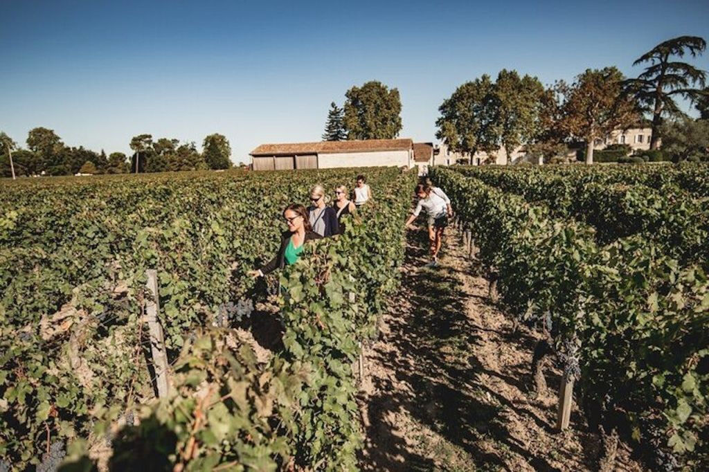 Saint-Emilion: Visita guiada para degustação de vinhos + almoço