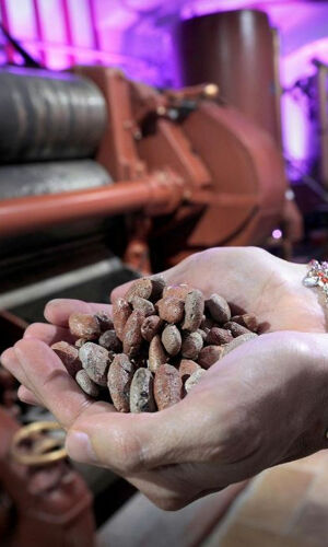 Torino: Tour della storia del cioccolato + audioguida + degustazione di cioccolato