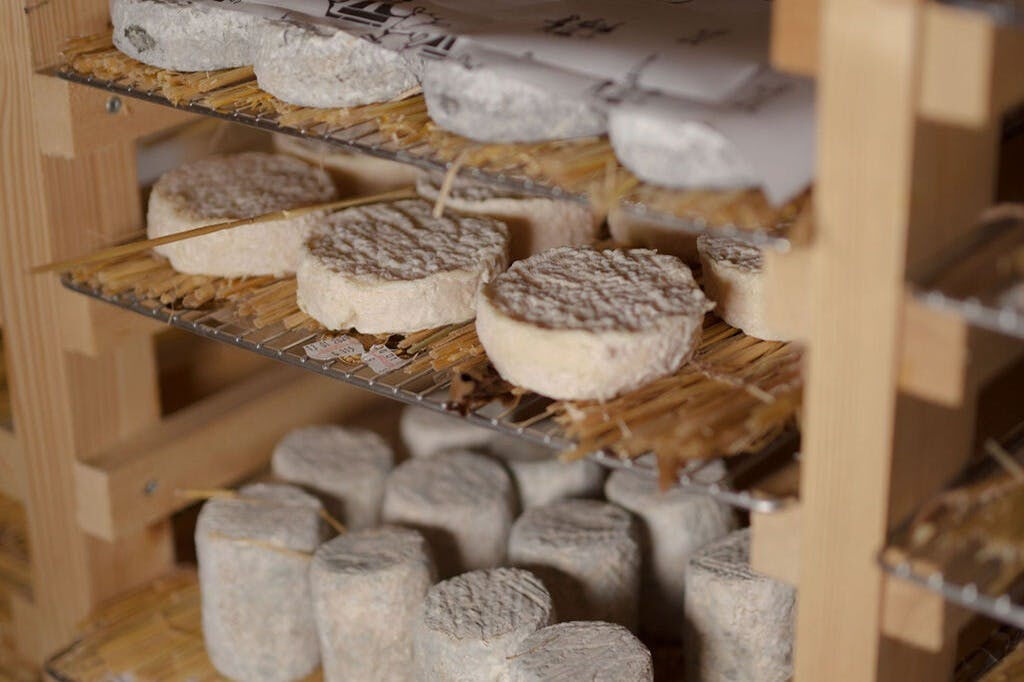 Paris Art of Pairing Cheese and Wine Tasting in a Cheese Cellar
