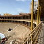 Alicante Bullring Tour