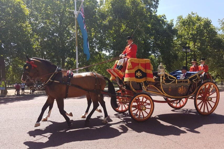 Londres : Visite à pied + relève de la garde Buckingham Palace