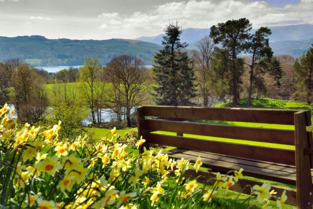 Lake District : Excursion d'une journée + croisière depuis Londres avec Cream Tea
