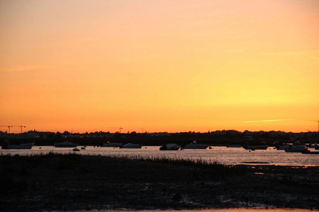 Ria Farmosa: Tour guidato in barca al tramonto