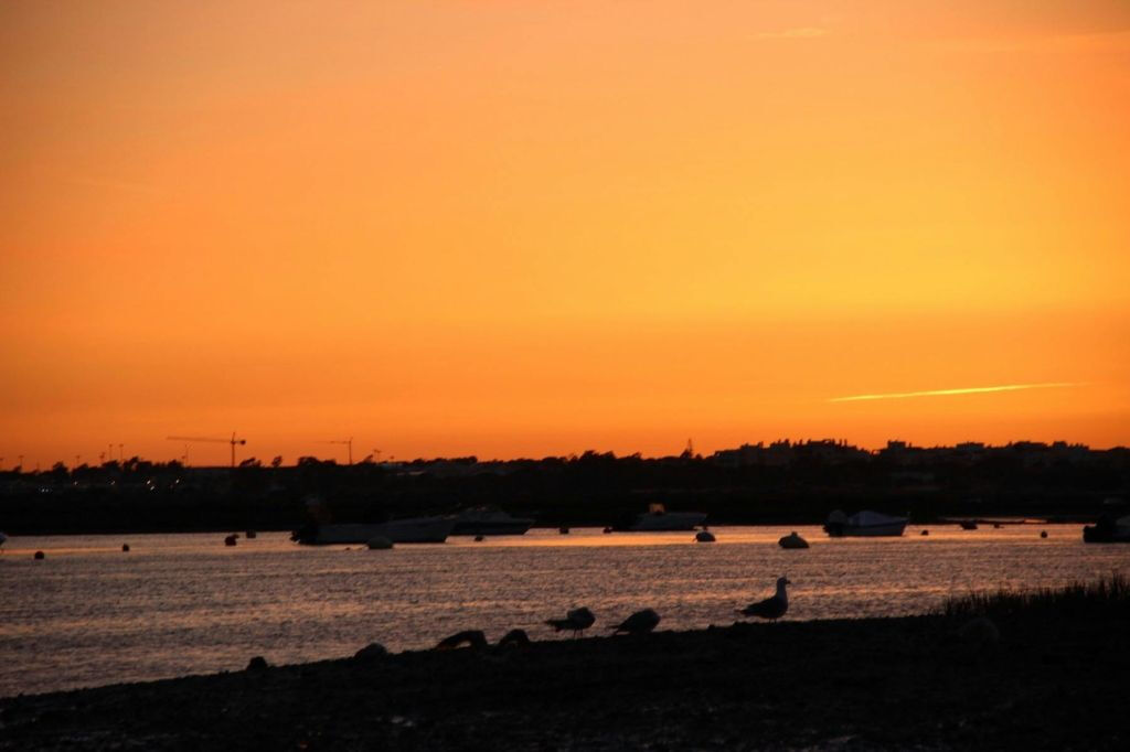 Ria Farmosa: Tour guidato in barca al tramonto