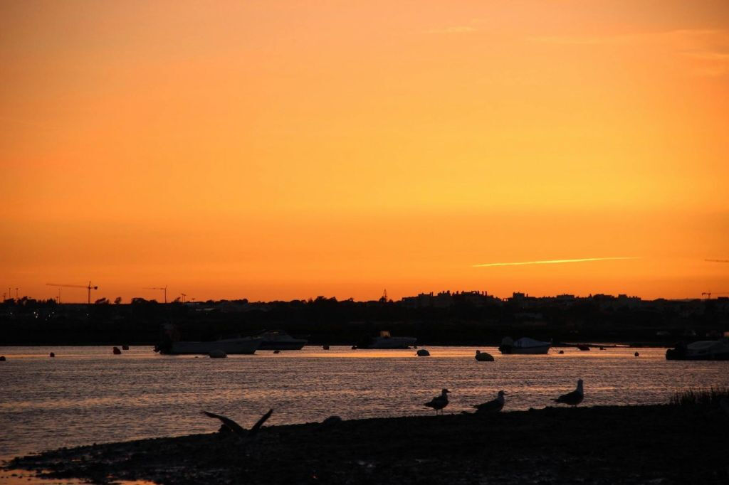 Ria Farmosa: passeio guiado de barco ao pôr do sol