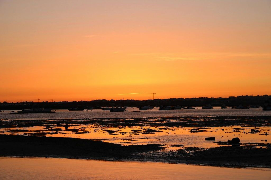 Ria Farmosa: Tour guidato in barca al tramonto