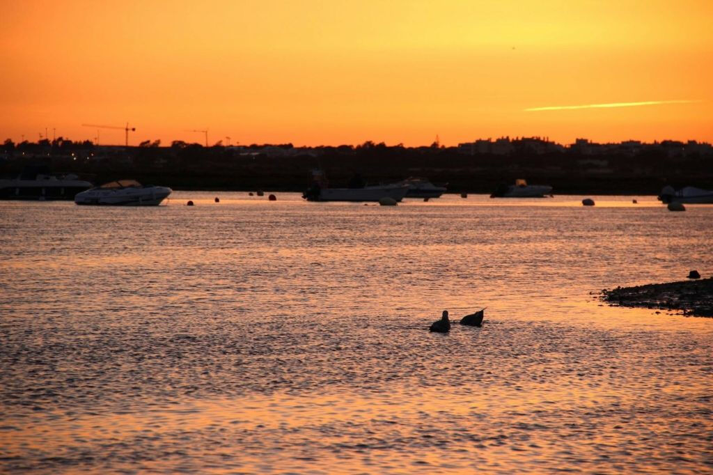 Ria Farmosa: Tour guidato in barca al tramonto
