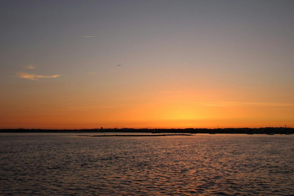 Ria Farmosa: Tour guidato in barca al tramonto