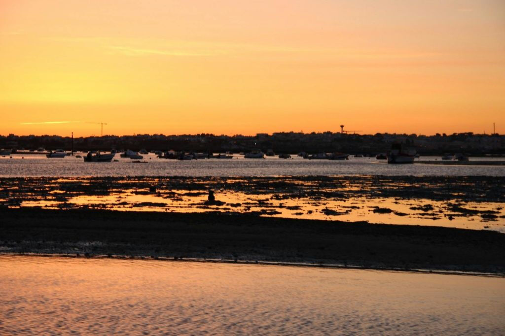 Ria Farmosa: Tour guidato in barca al tramonto