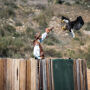 Puy du Fou España : Transport aller-retour depuis Tolède
