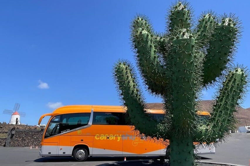 Tenerife : Transfert en bus de l'aéroport sud à Los Cristianos