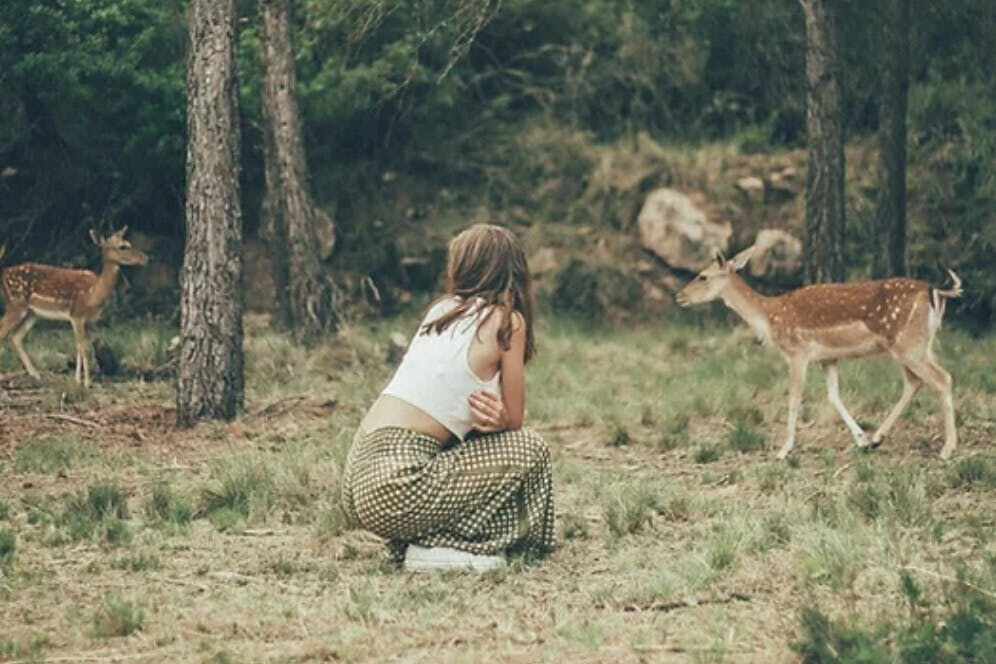 Aguilar de Segarra : visite de la fondation de la réserve forestière sauvage + atelier