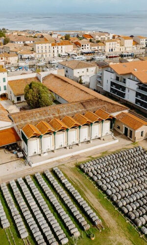 Maison de Noilly Prat : Visite historique guidée + dégustation de vin