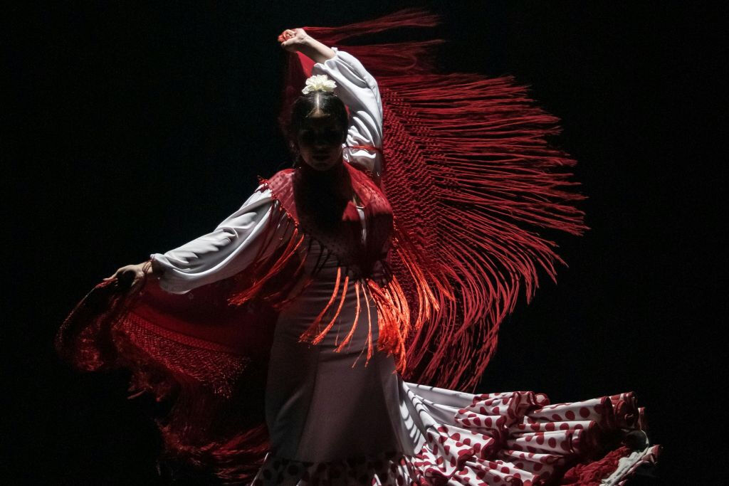 Teatro Flamenco Sevilla: Flamenco Show