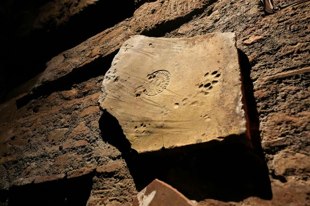 Cripta dei Cappuccini e Catacombe: Tour guidato e trasferimenti