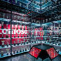 Museo del Benfica: Oferta Entrada + Bufanda