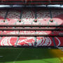 Estádio da Luz & Musée Benfica : Billet d'entrée + offre d'écharpe