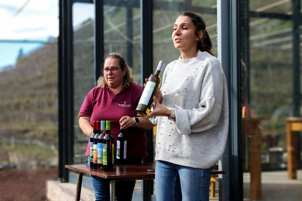 Madeira: Vino e tapas, avventura in jeep 4x4 Cabo Girão Skywalk