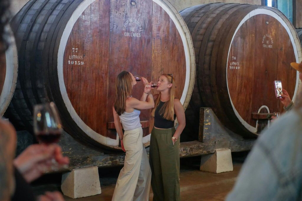 Pena Palace & Winery: Guided Tour + Wine Tasting + Transfer from Lisbon