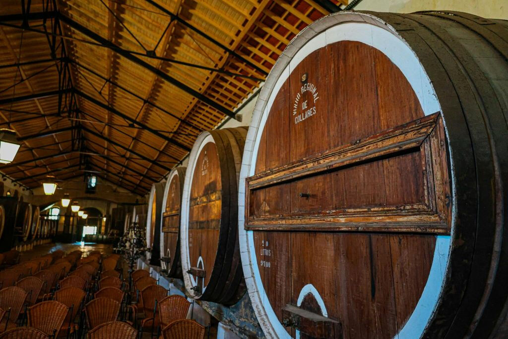 Pena Palace & Winery: Guided Tour + Wine Tasting + Transfer from Lisbon