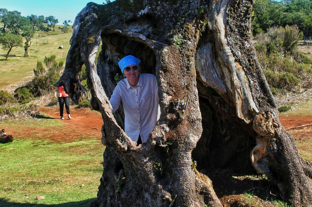 Madiera: Piscinas vulcânicas e passeio de jipe 4X4 pela floresta