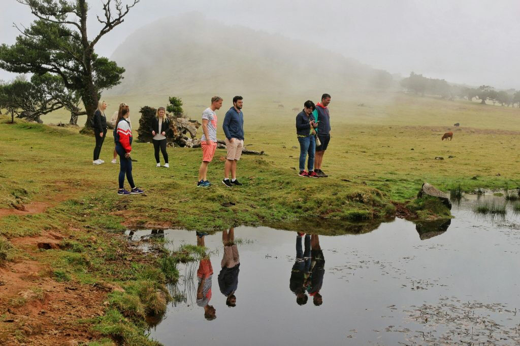 Madiera: Piscinas vulcânicas e passeio de jipe 4X4 pela floresta