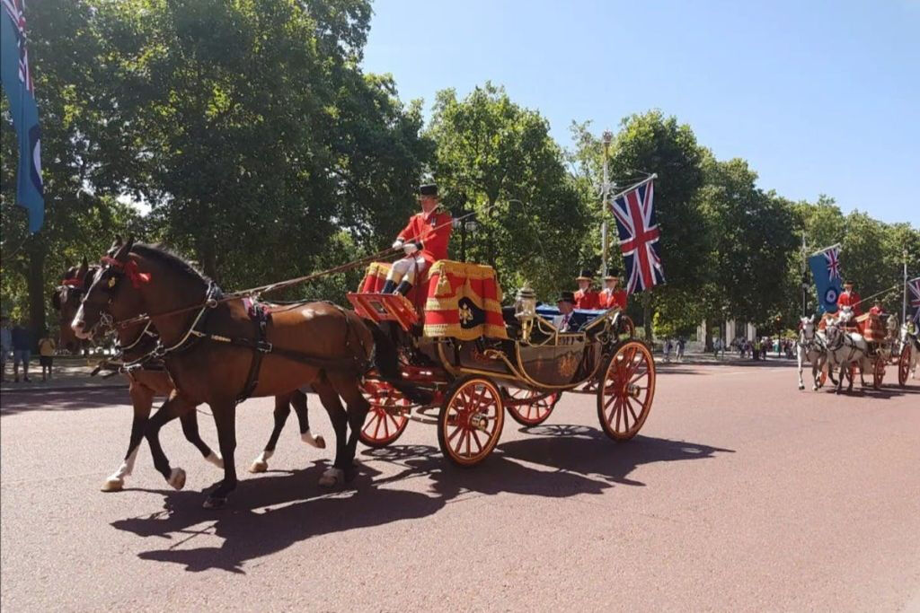 Londres: Visita guiada a pie en grupo reducido por la realeza británica