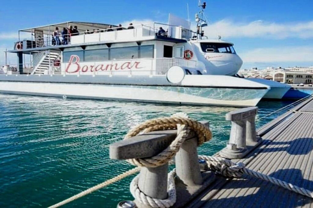 Valencia: Crucero en Catamarán al Atardecer