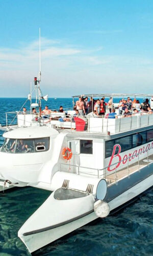 Valencia: Crucero en Catamarán + Baño