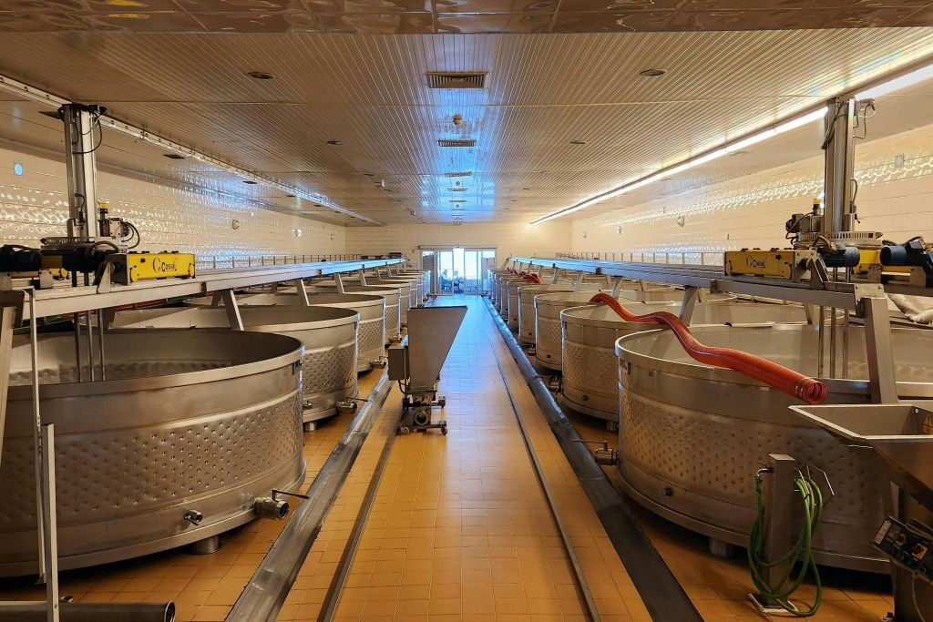Arrábida y Comporta: Excursión guiada de un día desde Lisboa + Cata de vinos