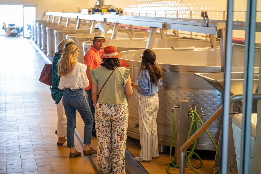 Arrábida y Comporta: Excursión guiada de un día desde Lisboa + Cata de vinos