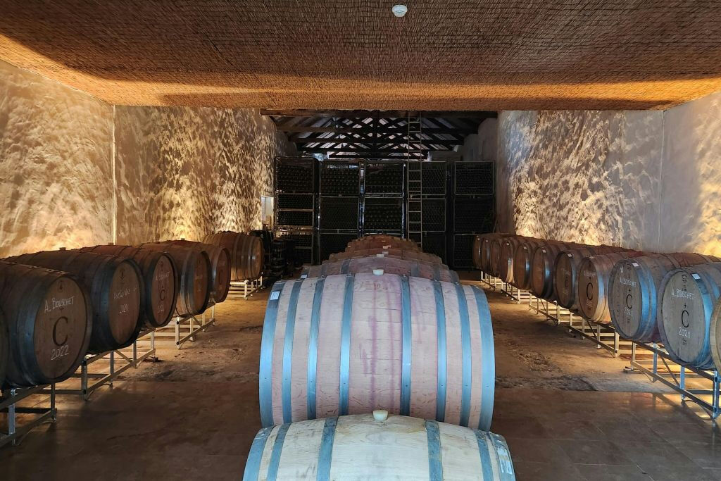 Arrábida y Comporta: Excursión guiada de un día desde Lisboa + Cata de vinos