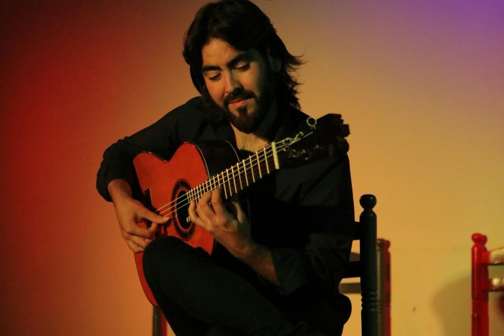 Palacio Granada: Espectáculo Flamenco