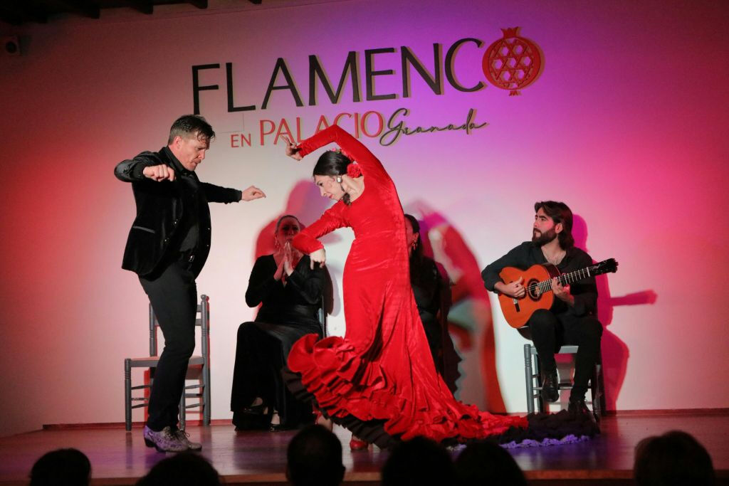 Palacio Granada: Espectáculo Flamenco