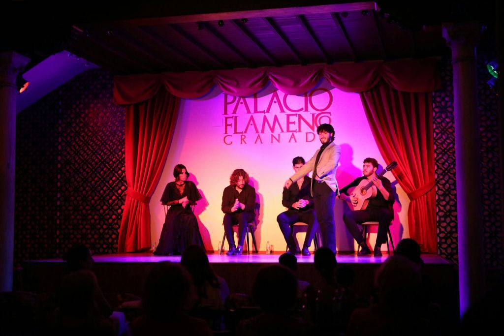 Palacio Granada: Espectáculo Flamenco