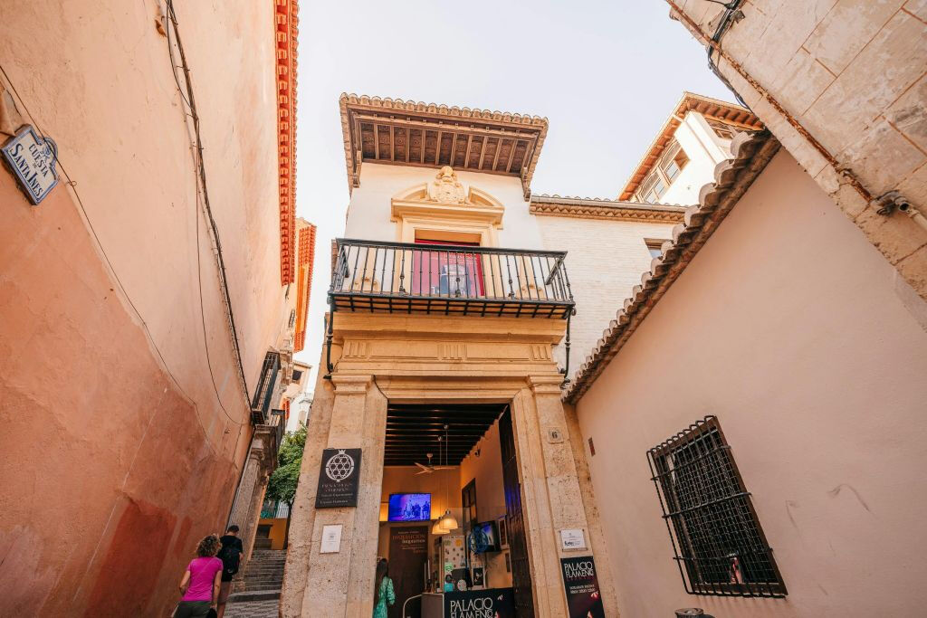 Palacio Granada: Espectáculo Flamenco
